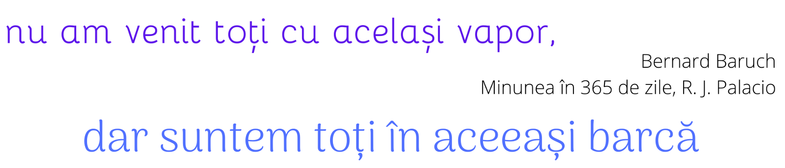 R.E.I. - Resurse Educație Incluzivă