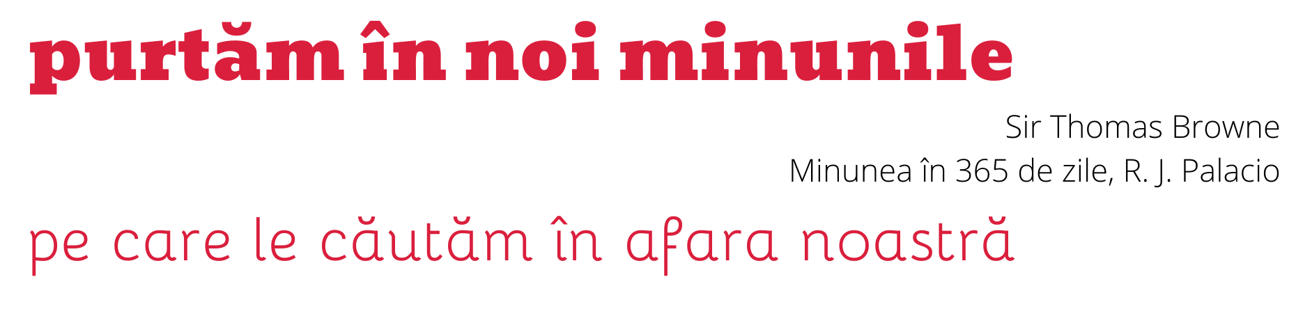 R.E.I. - Resurse Educație Incluzivă