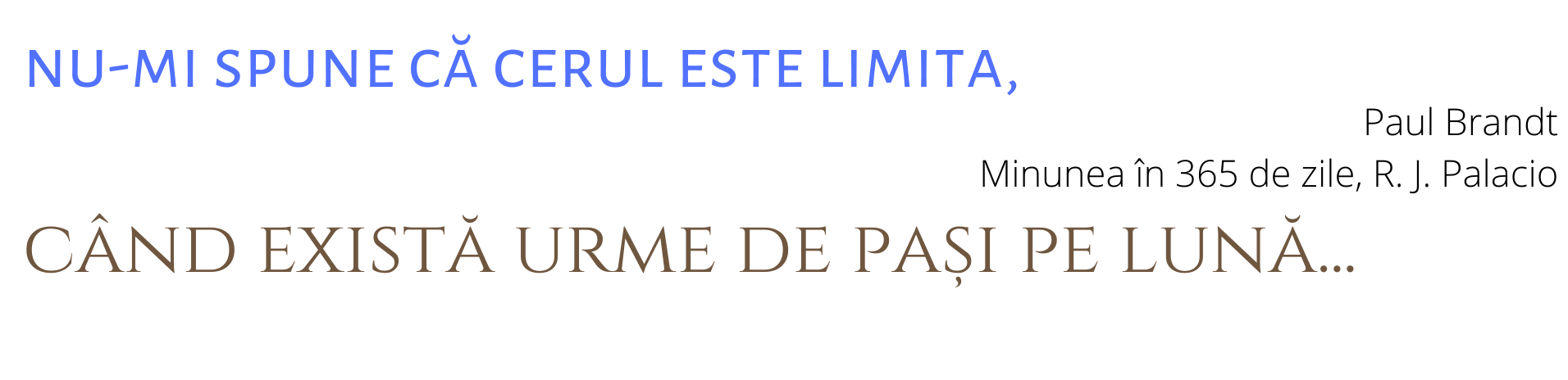 R.E.I. - Resurse Educație Incluzivă