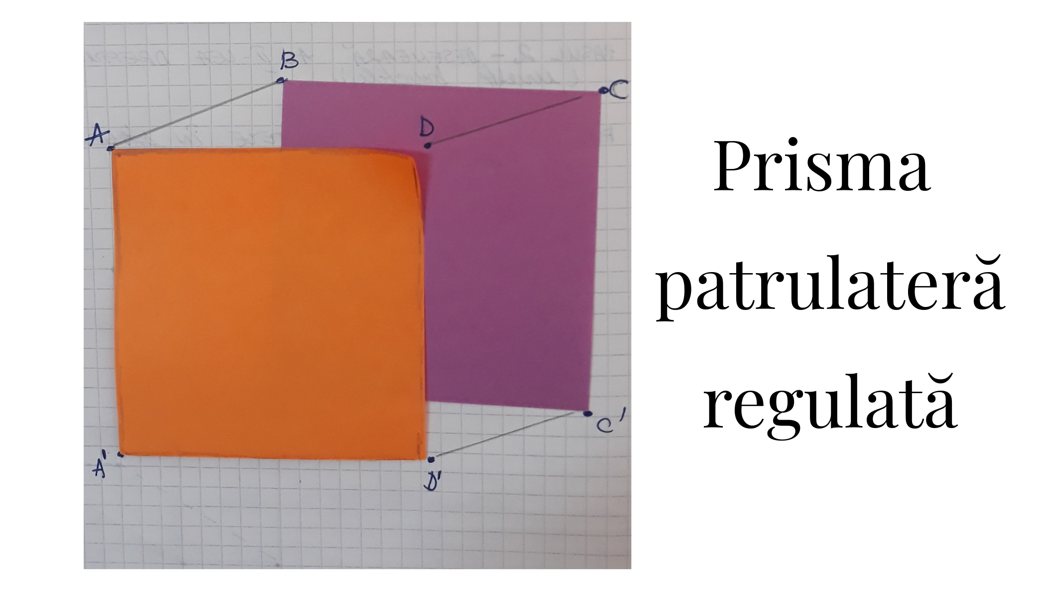 chapter Peck mild Prisma patrulateră regulată | R.E.I. - Resurse Educație Incluzivă