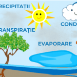cele 6 procese ale circuitului apei in natura