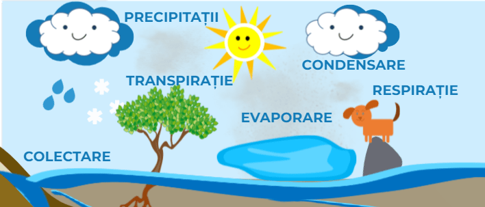 cele 6 procese ale circuitului apei in natura